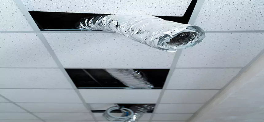 Affordable HVAC Sanitizing After Pest Removal in Elizabethtown