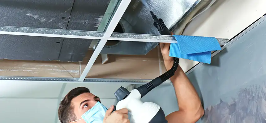 Our Air Duct Rodent Removal Services in Elizabethtown, KY