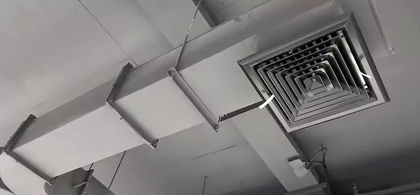 Restorative Allergy Relief Vent Cleaning – Coil, Blower & Housing Detail in Elizabethtown