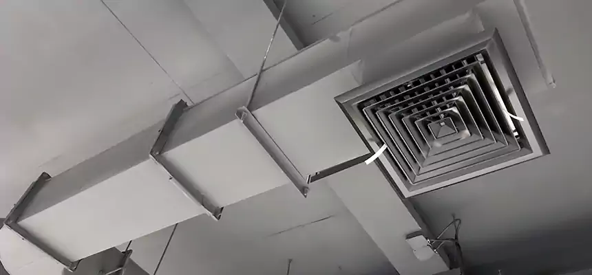 Our Pest Removal From Ducts Services in Elizabethtown, KY