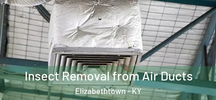 Insect Removal from Air Ducts Elizabethtown - KY