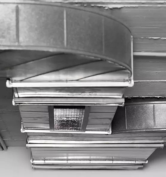 Professional Air Duct Pest Removal in Elizabethtown, KY