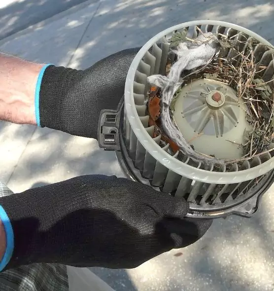 About Air Duct Rat Removal in Elizabethtown, KY