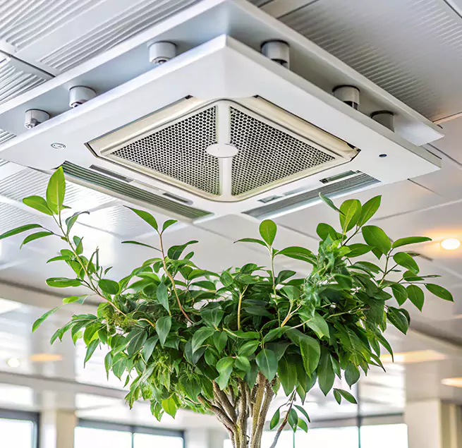 Why Homeowners & Businesses Trust Us in Elizabethtown, KY