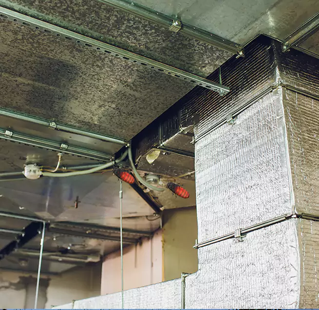 Why Homeowners & Businesses Trust Us Elizabethtown, KY?